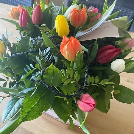 Guest house Stal Nieuwland