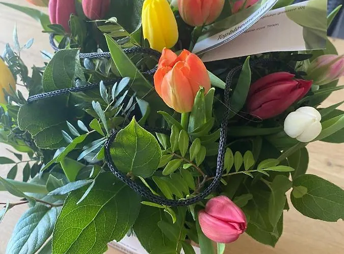 بيت ضيافة Stal Nieuwland